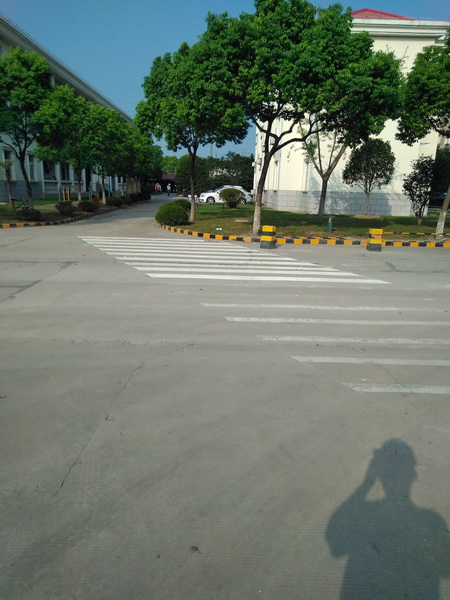 道路标线